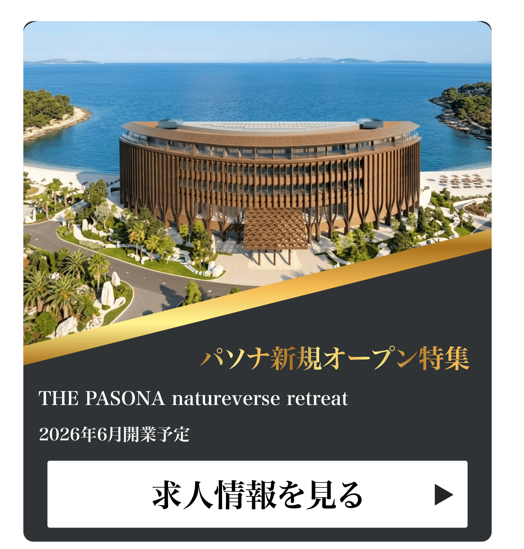 パソナ新規オープン特集