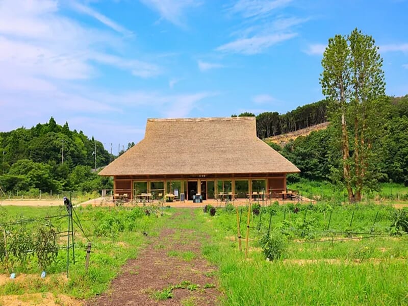 農家レストラン 陽・燦燦